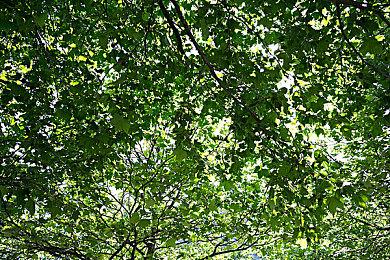 《祖上阔过的二代坏蛋巫师反击伪善英雄夺回祖传城堡的神奇大冒险》现已登陆Steam和Xbox！