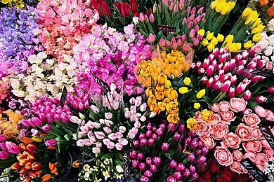 《龙与地下城：黑暗联盟》全区降价 国区降至90元